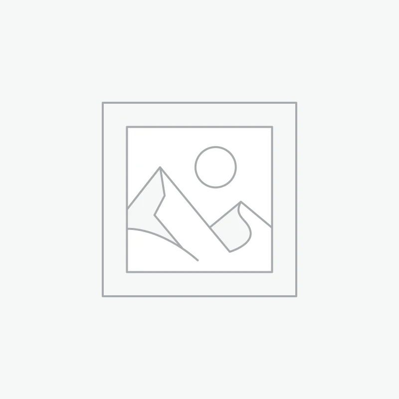 Dental Model — Model V1.0